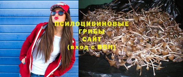 мдпв Арсеньев